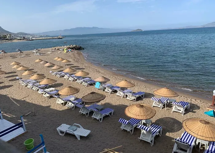 Maira Beach Hotel 4*